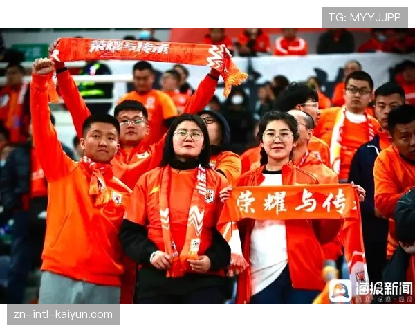 球迷冲入场内致比赛中断，警方强调将严惩危害球场安全行为